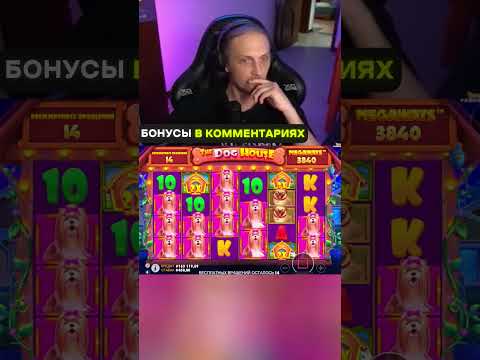 doggo casino